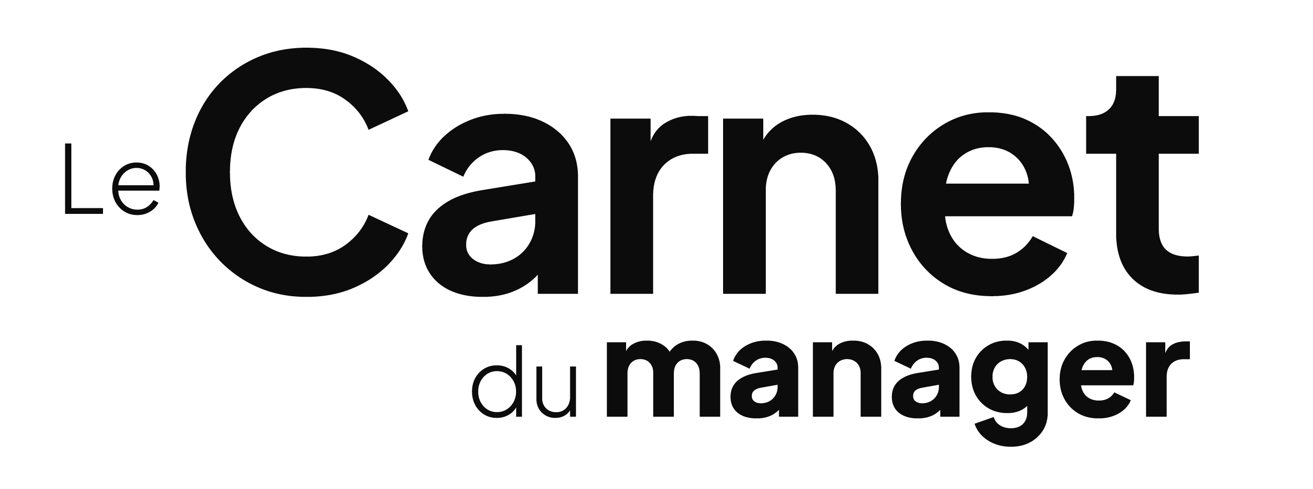 Balado Le Carnet Du Manager